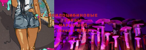 марки nbome Белокуриха