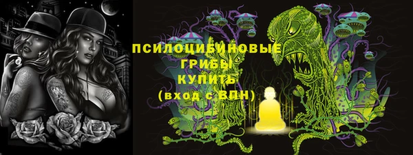 соль ск Богородицк