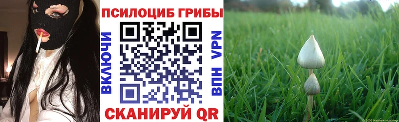 Галлюциногенные грибы GOLDEN TEACHER  Нарткала 